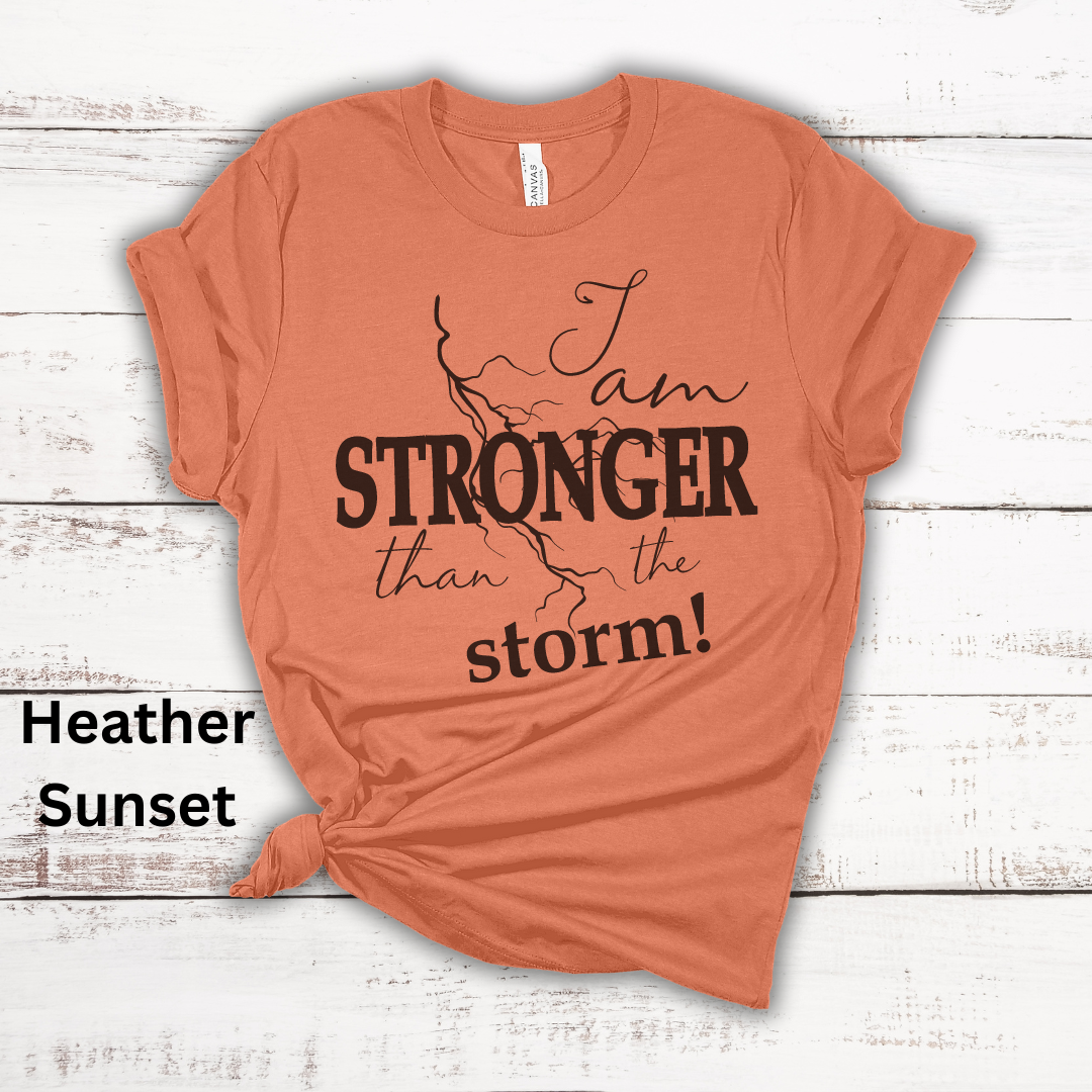 Stronger Than The Storm Jersey Short Sleeve Tee