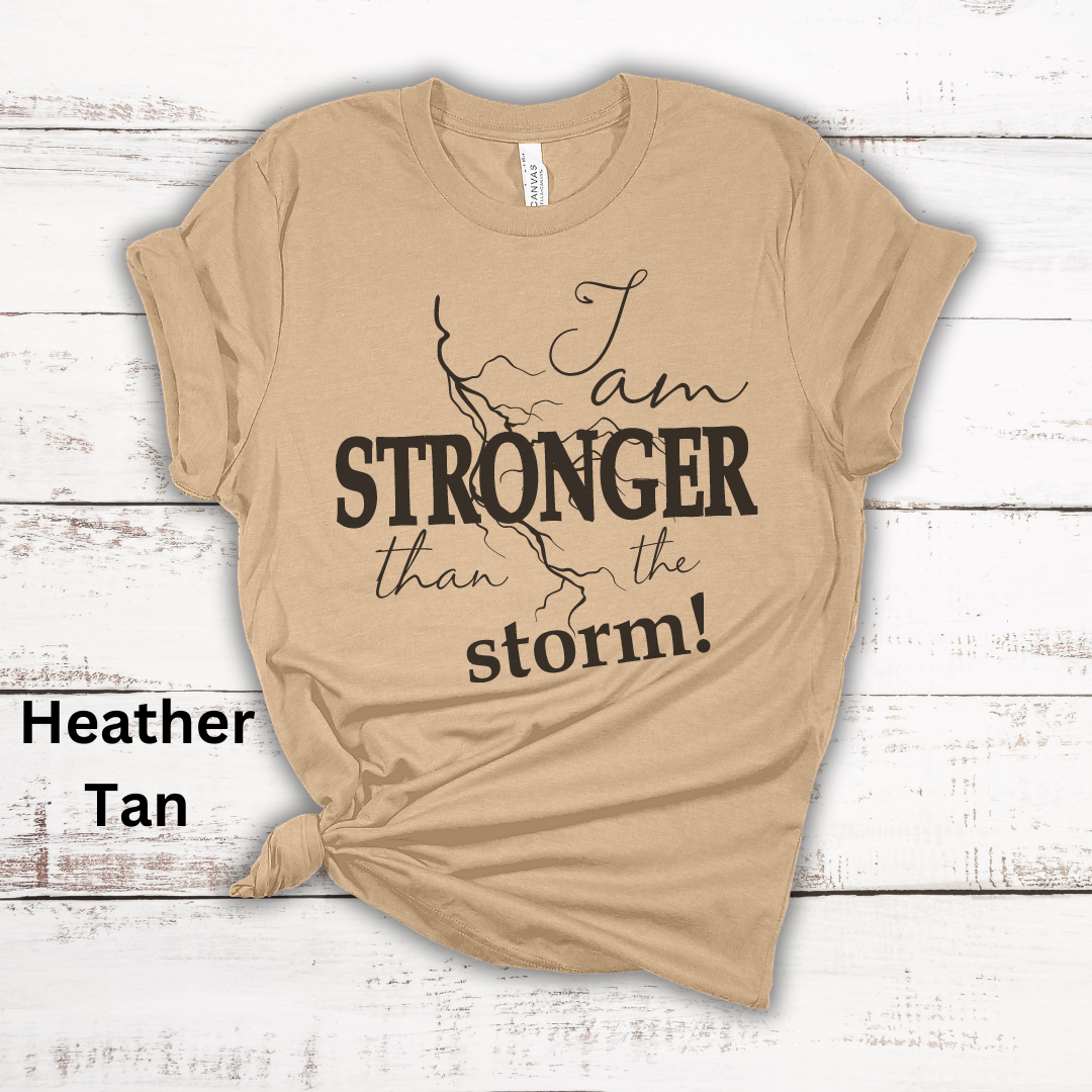 Stronger Than The Storm Jersey Short Sleeve Tee