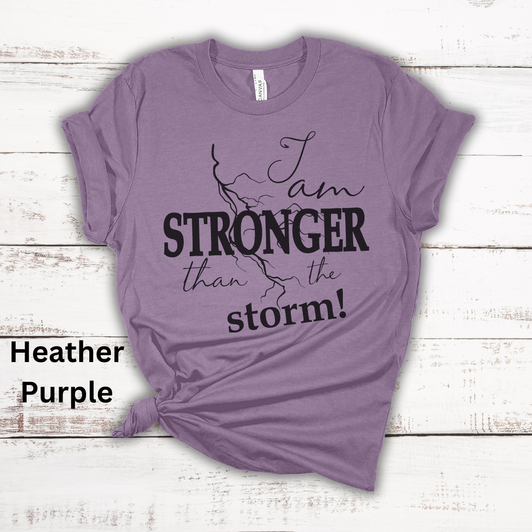 Stronger Than The Storm Jersey Short Sleeve Tee