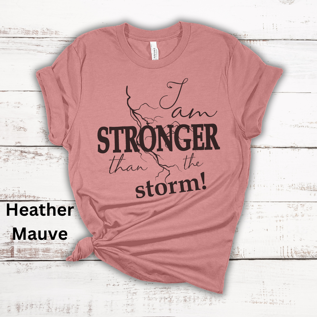 Stronger Than The Storm Jersey Short Sleeve Tee