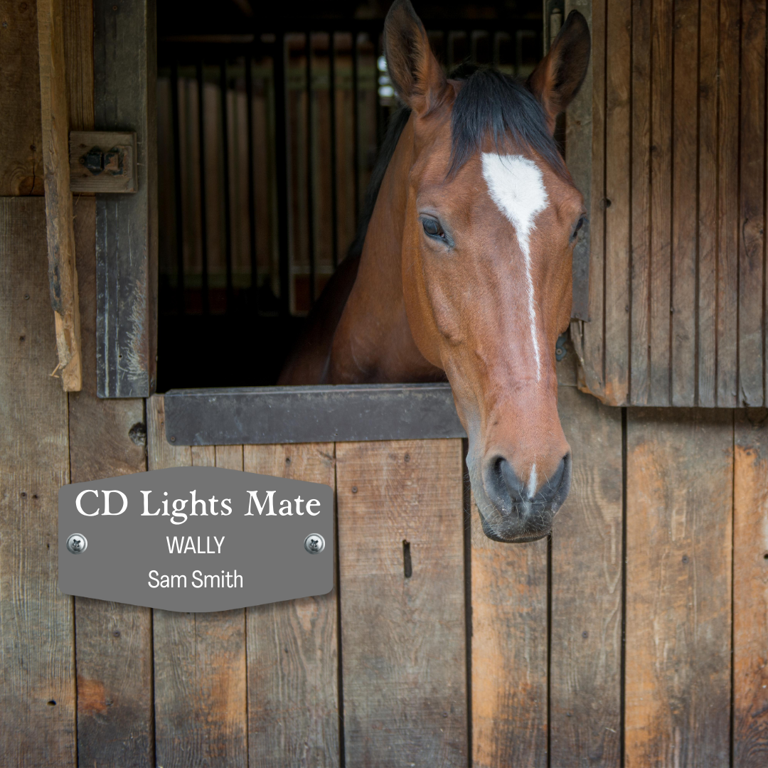 Custom Engraved Stall Sign | Horse & Livestock Name Plate