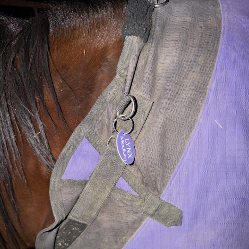 Custom Horse Blanket & Tack ID Tag | Engraved Plastic Name Tag
